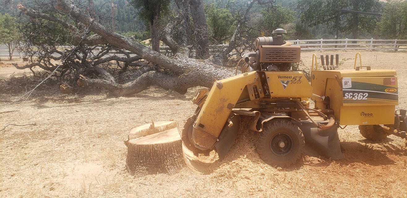 Stump Grinding