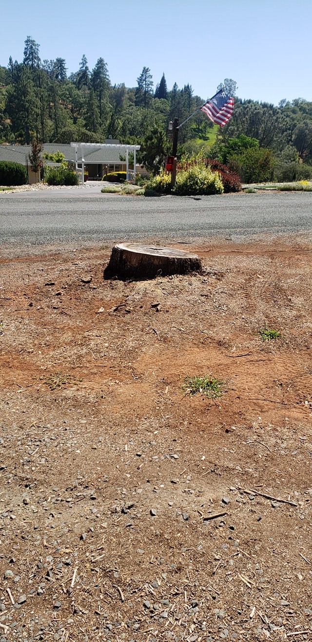 Tree Clearing & Trimming